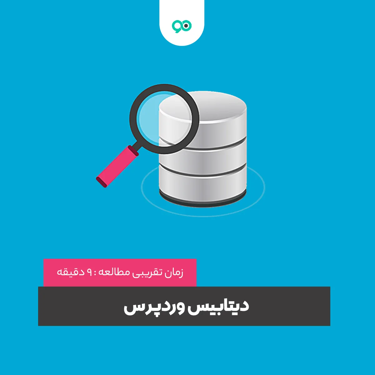 دیتابیس وردپرس چیست؟ راهنمای کامل ساختار و عملکرد