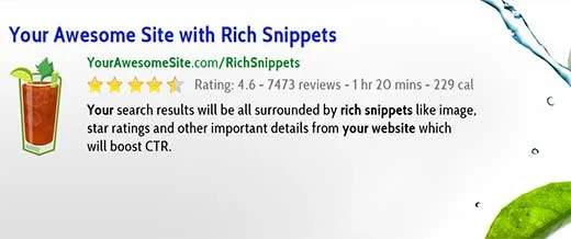 افزونه حرفهای وردپرس All in One Schema.org Rich Snippets