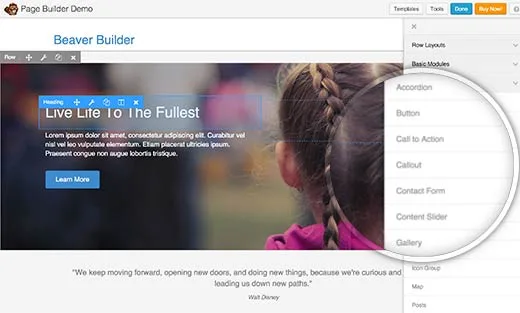 افزونه حرفهای وردپرس Beaver Builder