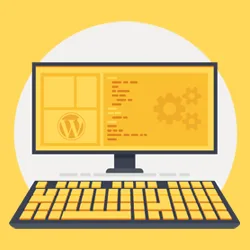 استفاده از افزونه یا اضافه کردن کد به functions.php در وردپرس؟