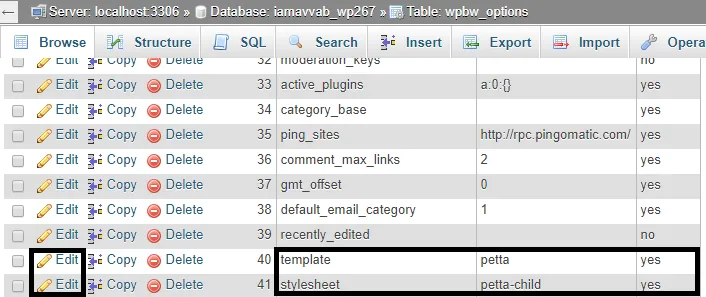 نحوه تغییر قالب وردپرس از دیتابیس و phpmyadmin