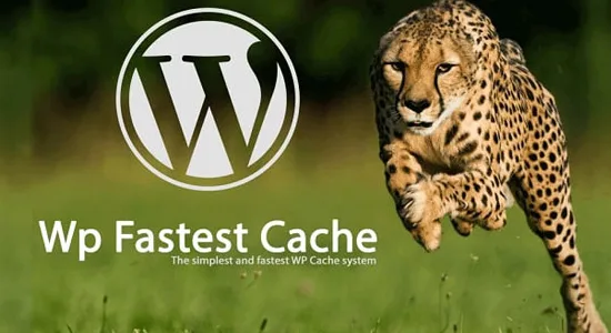 پر سرت ترین افزونه های کش wordpress