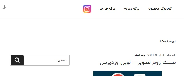 آموزش افزودن آیکون شبکه های اجتماعی در منو وردپرس
