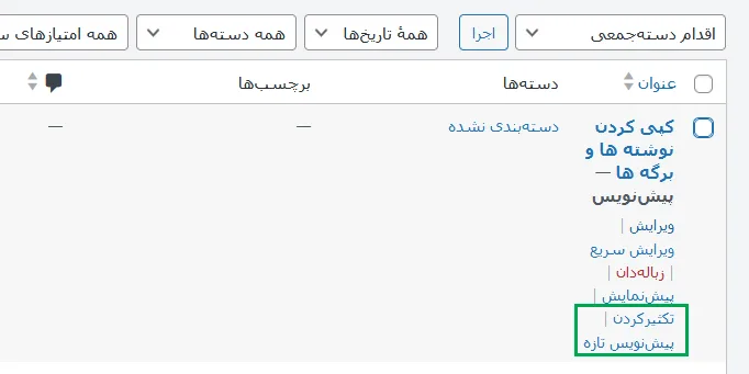 کپی کردن نوشته ها و برگه ها با Duplicate Post
