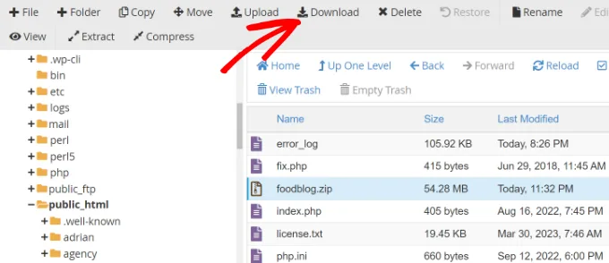 آموزش گرفتن بک آپ وردپرس با هاست سی پنل