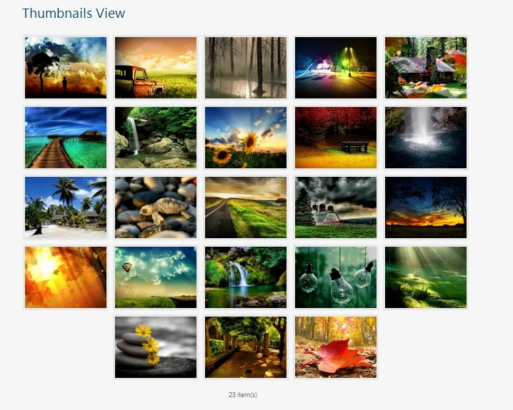 gallery