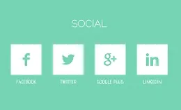 اشتراک گذاری مطالب در شبکه های اجتماعی با افزونه WP Social Sharing