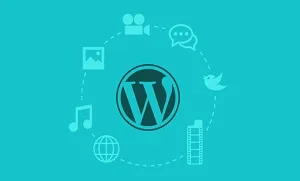 آموزش تغییر آیکون های پیشفرض پیشخوان وردپرس با افزونه CPT Custom Icon