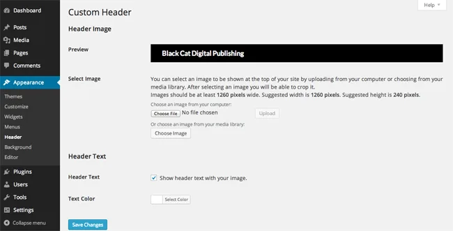 wp-admin-overview-appearance-header