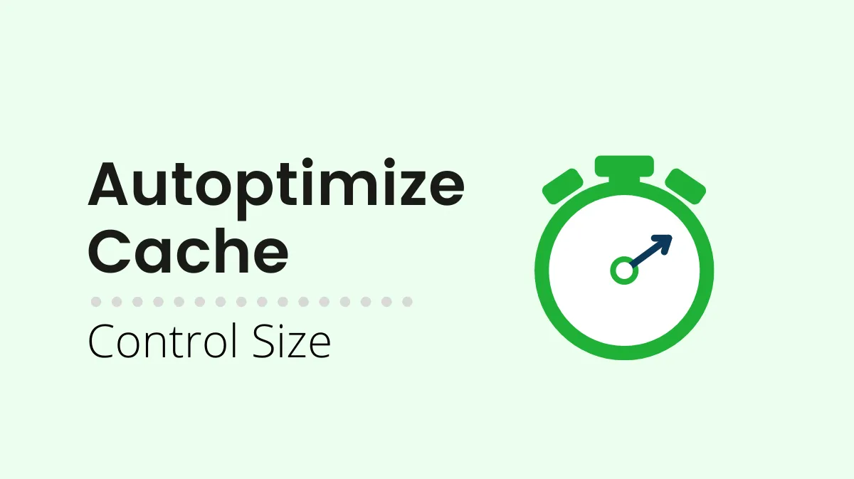 افزونه Autoptimize | بهترین افزونه کاهش حجم عکس سایت وردپرس