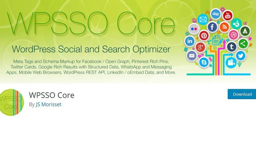 برترین پلاگین برای نشانه گذاری و اسکیما - افزونه اسکیما WPSSO Core