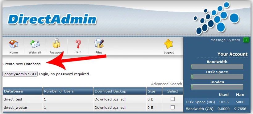 چگونه وردپرس را در DirectAdmin نصب کنیم؟