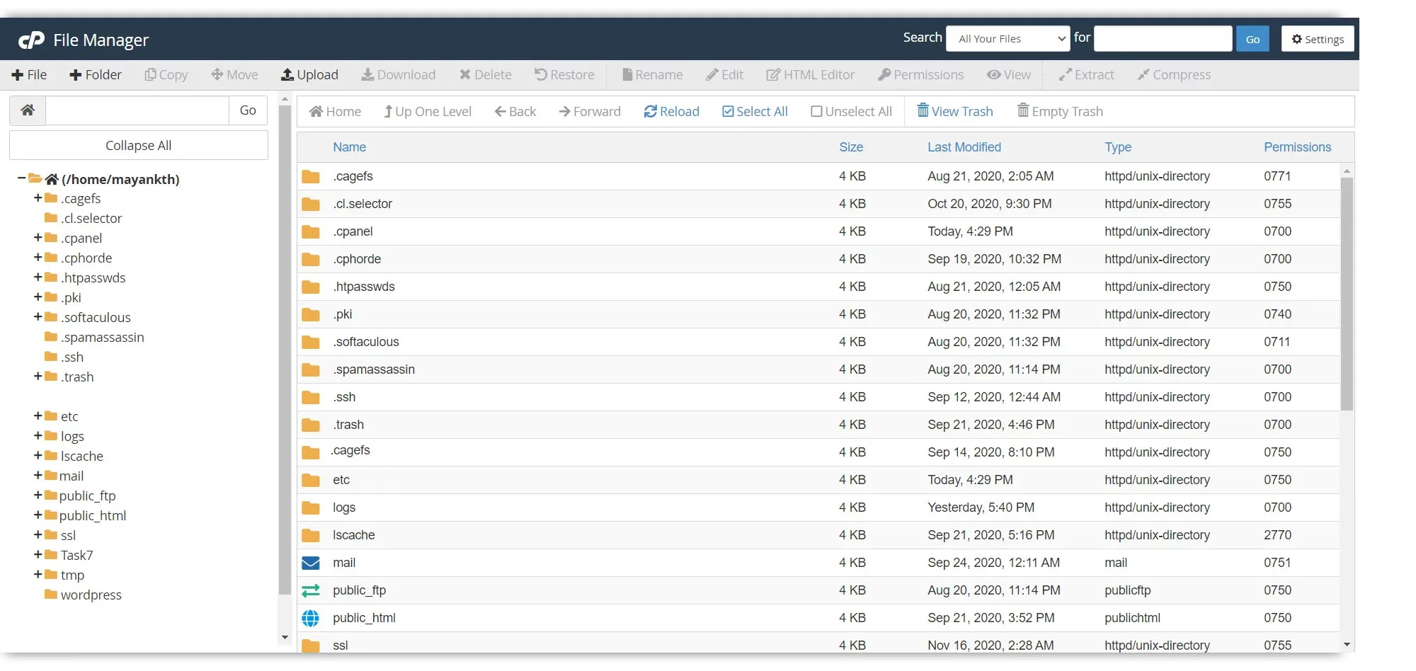 دایرکت ادمین یا cpanel - تفاوت cpanel و directadmin