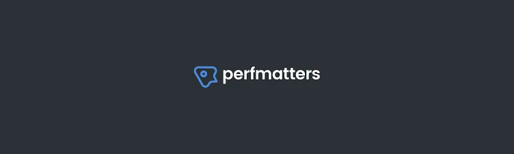 افزونه Perfmatters