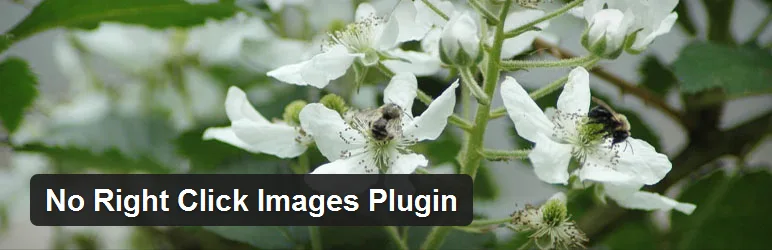 plugin_no_click_on_photos