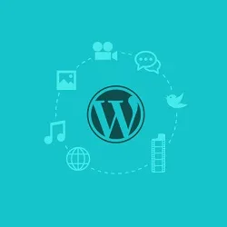 تغییر نوع پست ها در وردپرس – تبدیل برگه به نوشته و… با افزونه Post Type Switcher