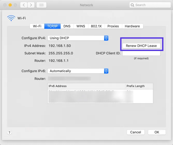 ارور dns probe finished bad config