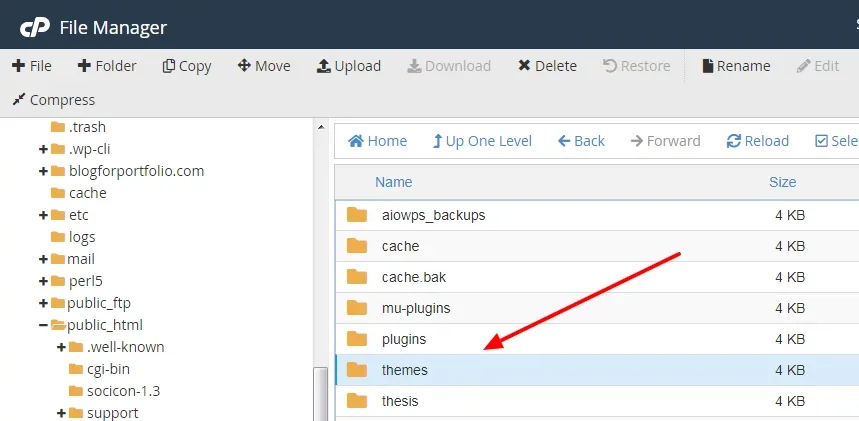 آموزش نصب پوسته وردپرس روی هاست Cpanel