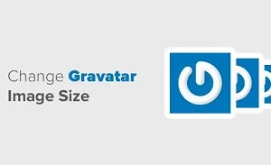 چگونه اندازه تصاویر Gravatar را در وردپرس بزرگتر کنیم؟