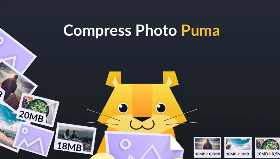 Puma Photo Resizer, Compressor