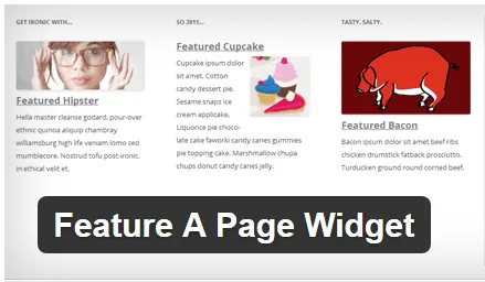 feature-a-page-widget