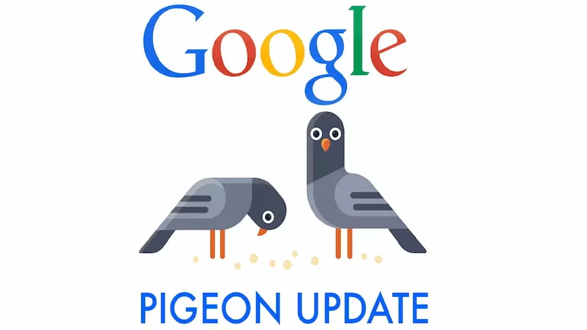 تاثیر الگوریتم pigeon بر سئو سایت