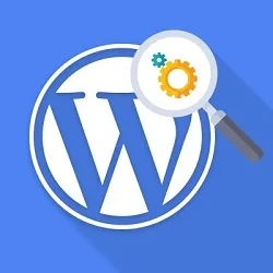 چند ویژگی جذاب و مخفی وردپرس