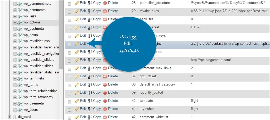 غیر فعال کردن افزونه های وردپرس بدون دسترسی به مدیریت وردپرس