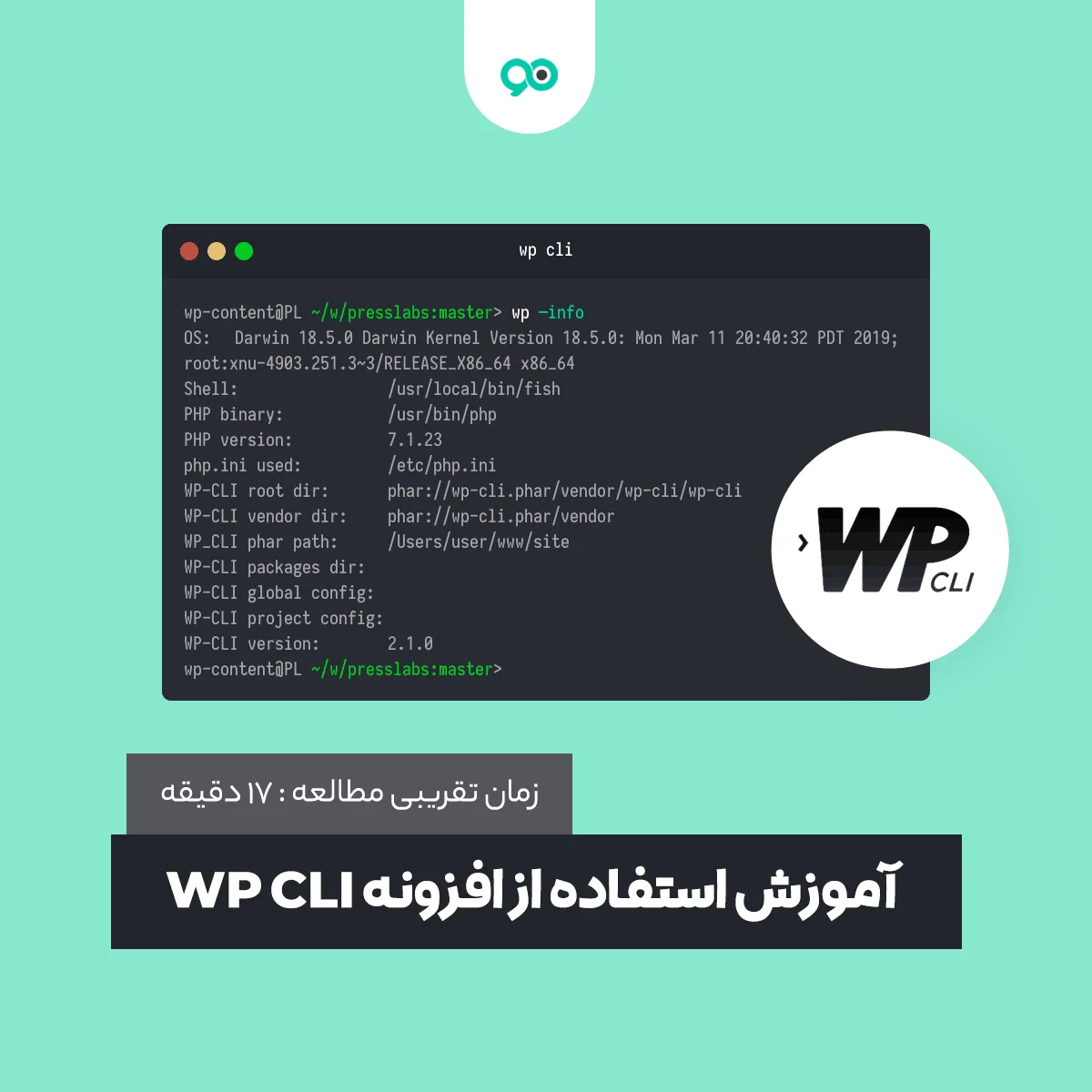 آموزش استفاده از افزونه WP CLI برای مدیریت وردپرس