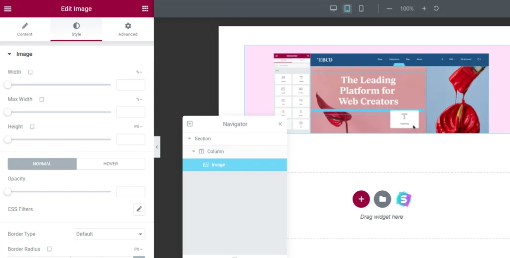 تفاوت صفحه ساز های Elementor و Beaver Builder