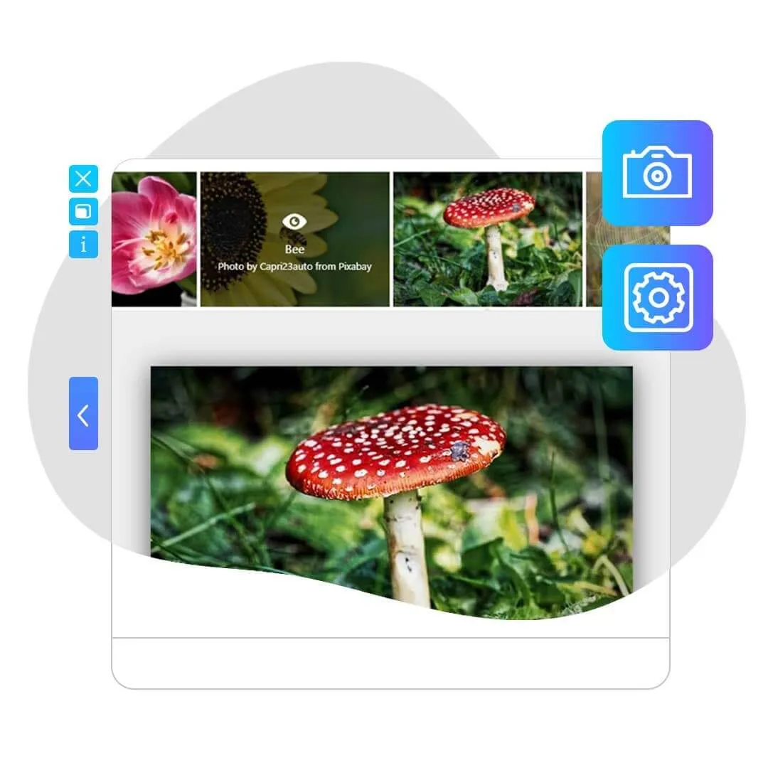 افزونه FooGallery Pro