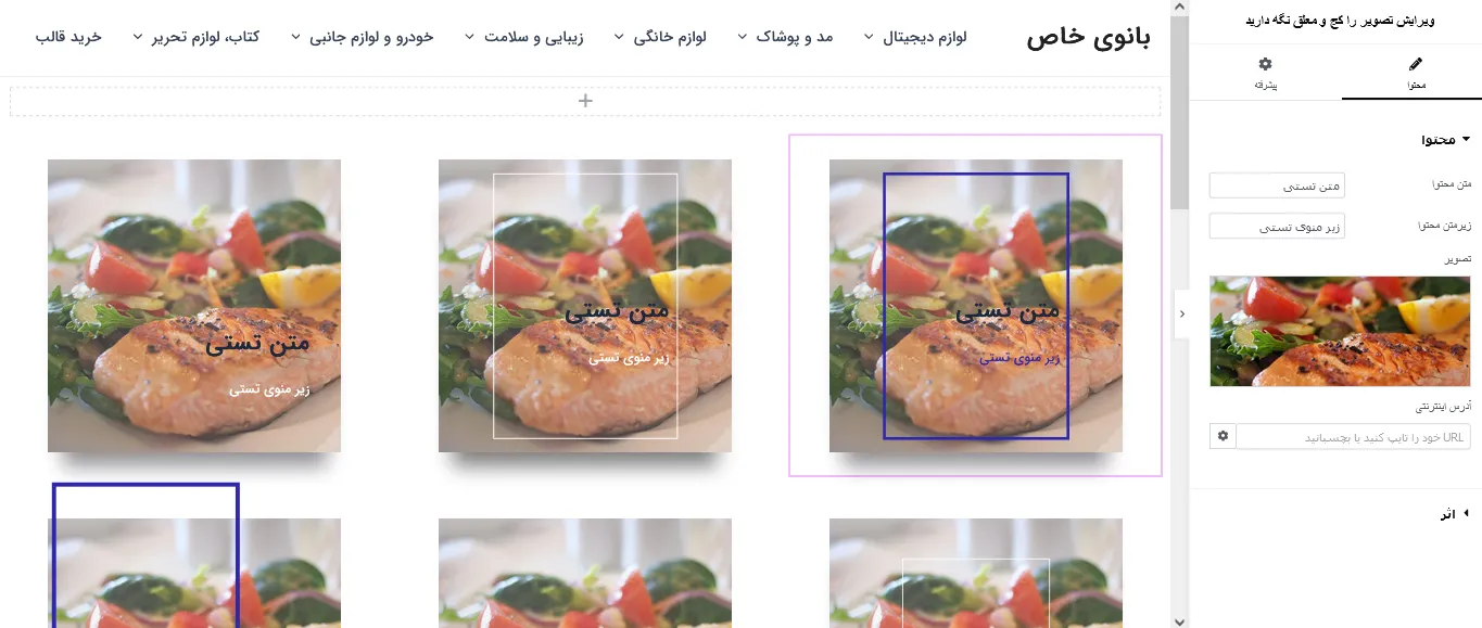 محیط افزونه در ویرایشگر المنتور