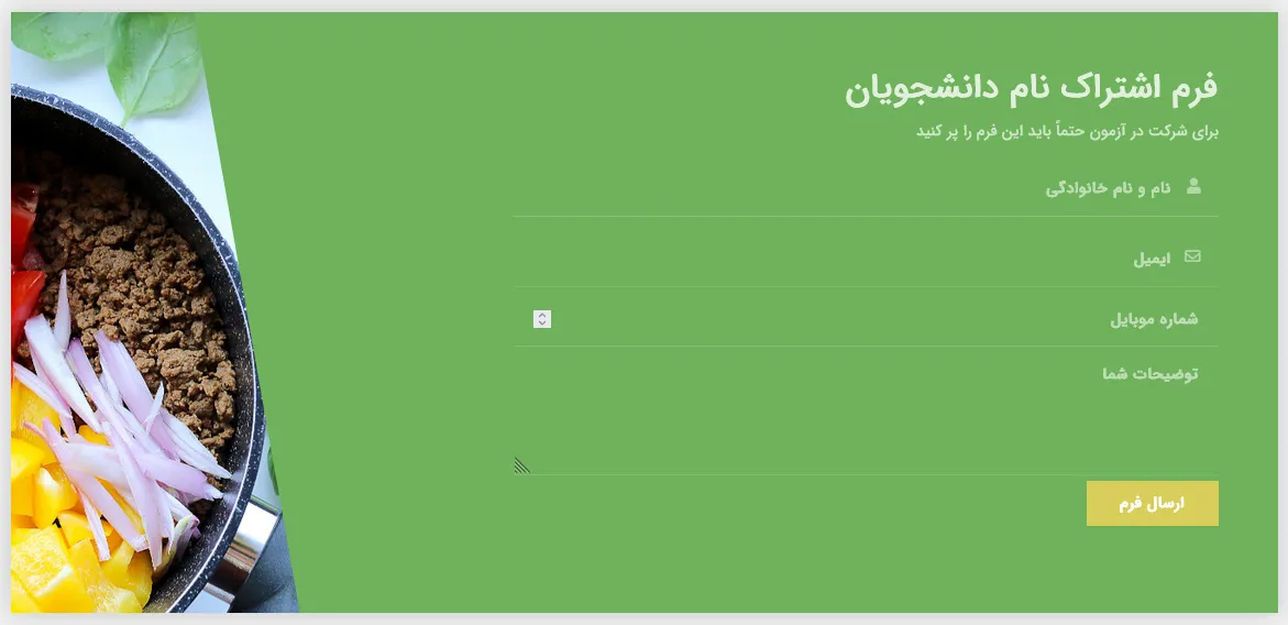 نمونه فرم ایجاد شده با افزونه