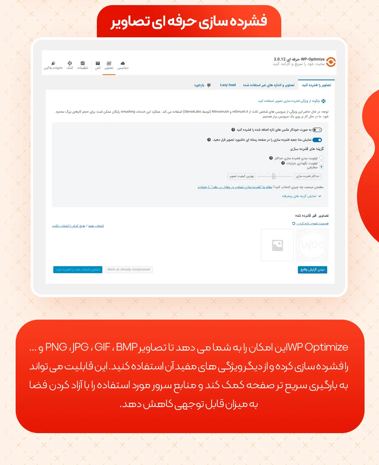 WP Optimize Premium 