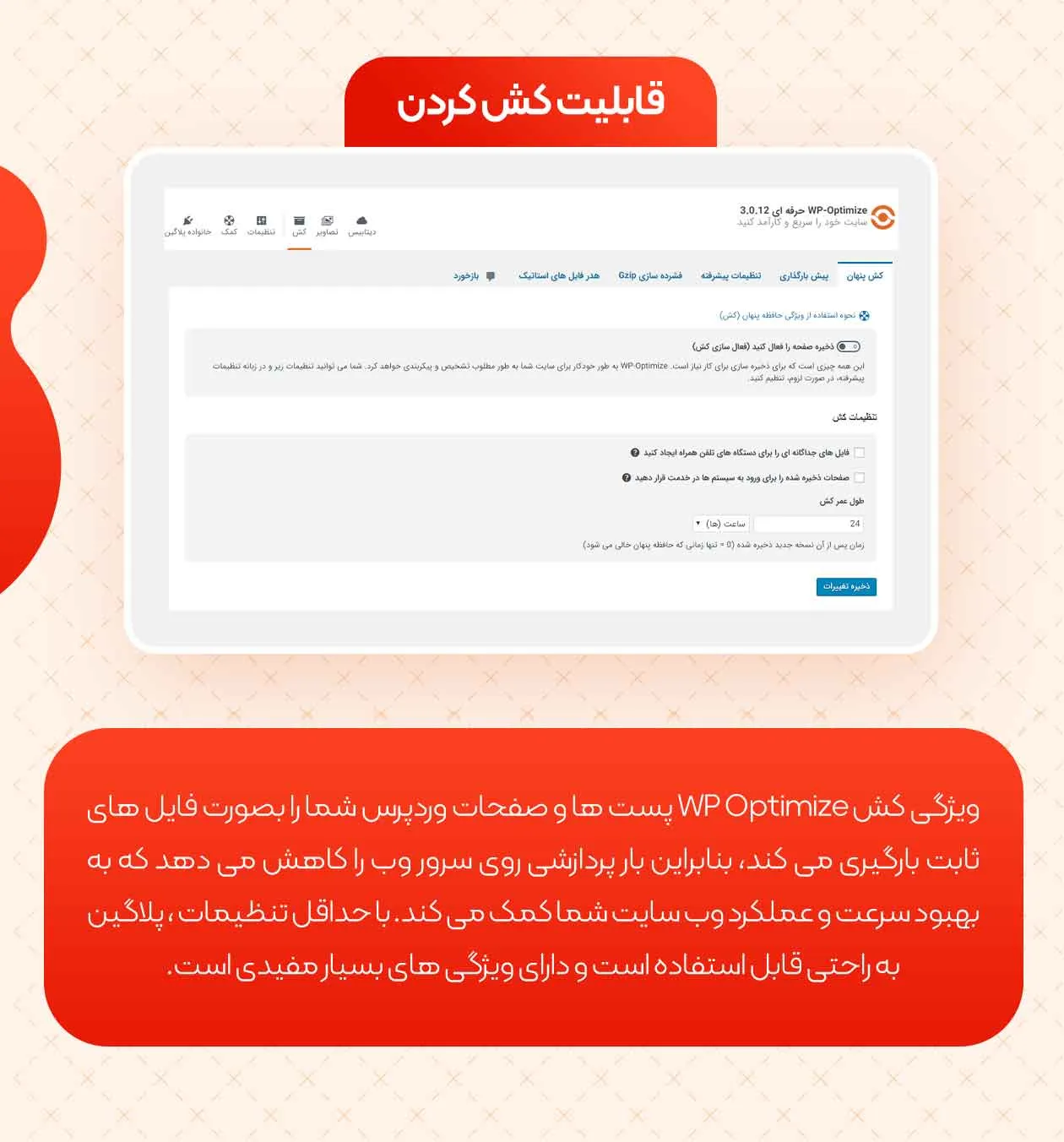 افزونه WP Optimize Premium 