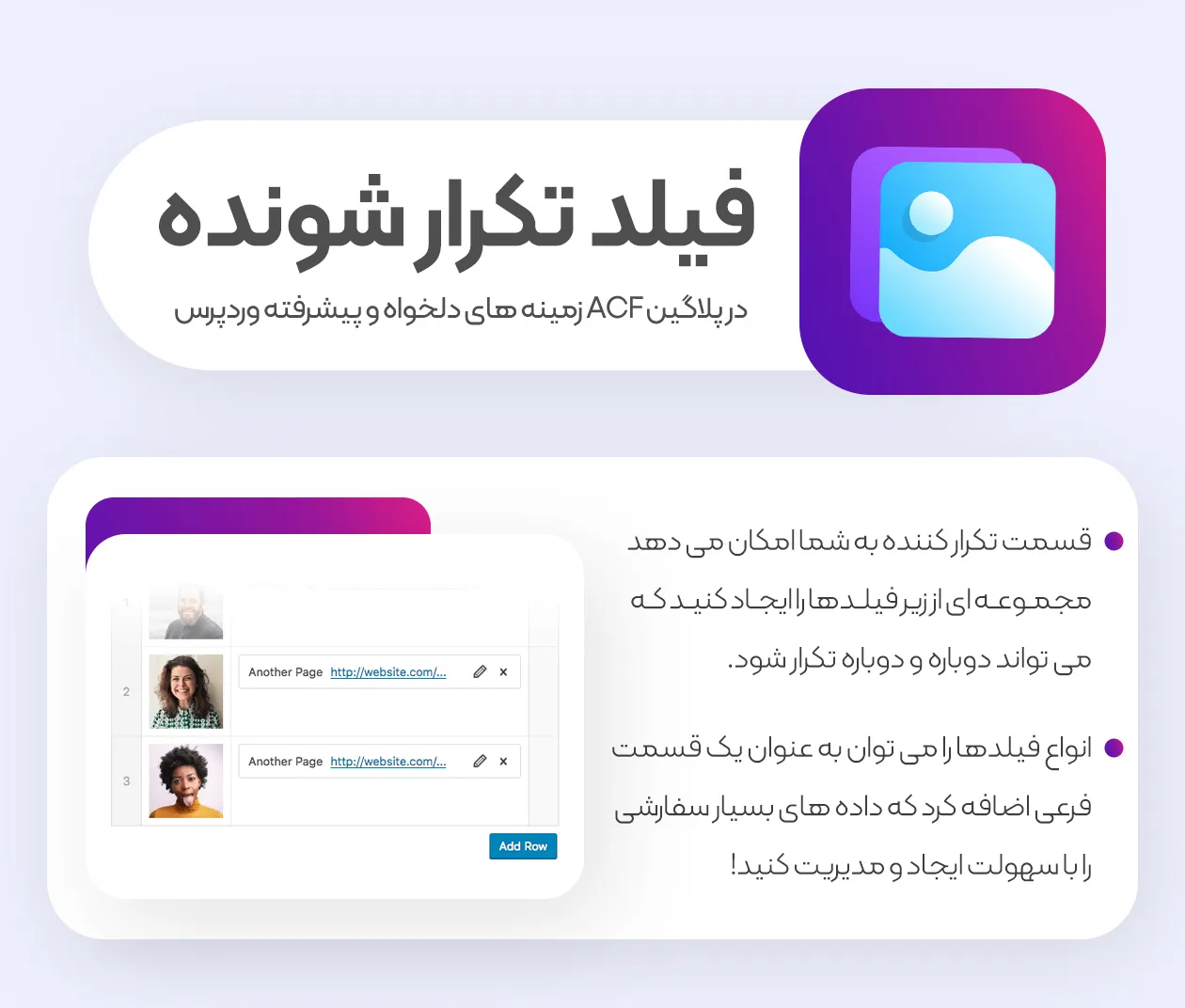 افزونه ACF Pro