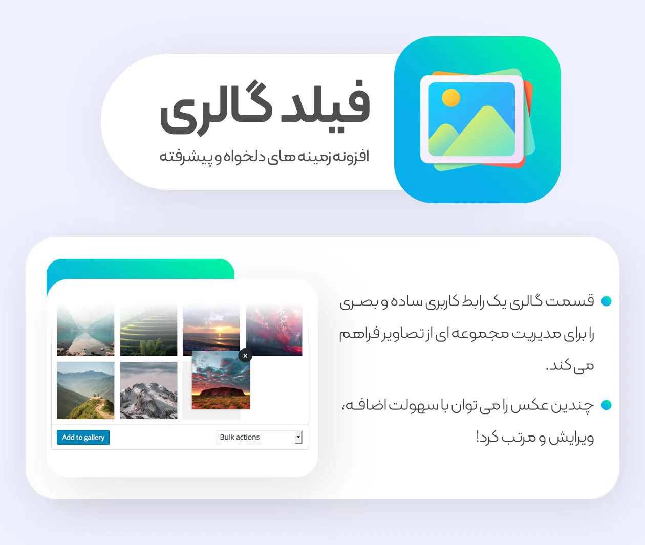 افزونه ACF Pro