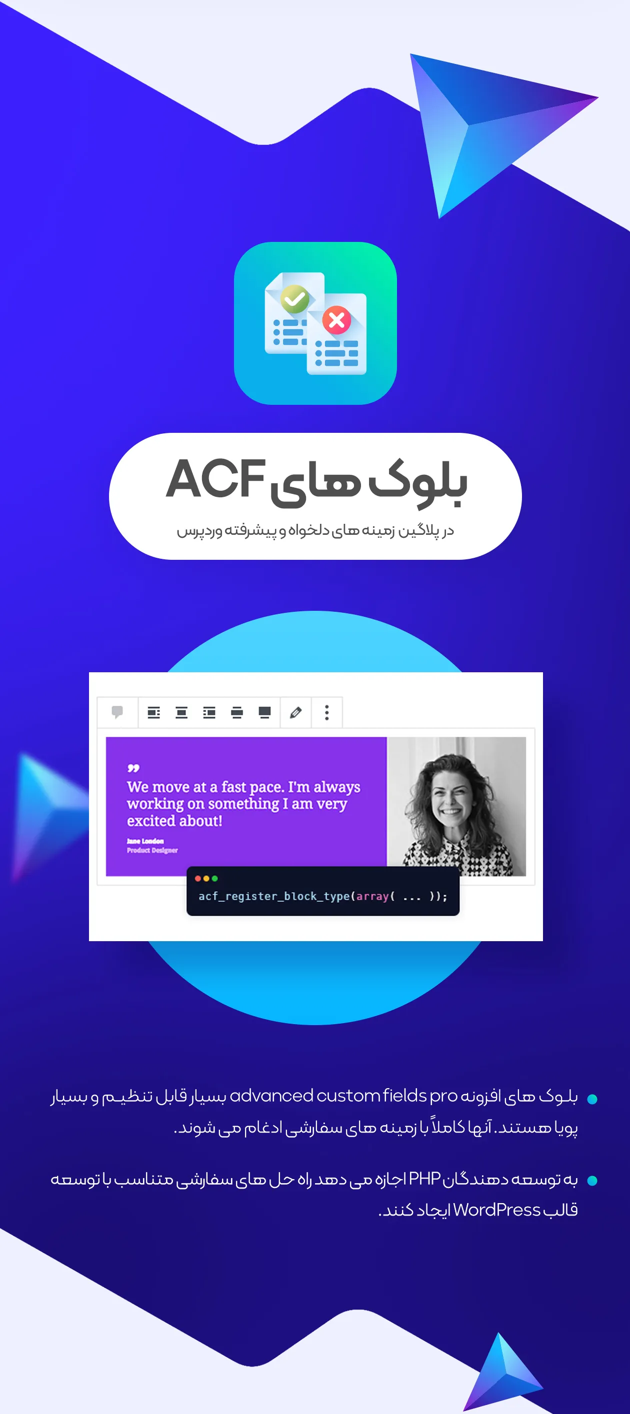 افزونه ACF Pro