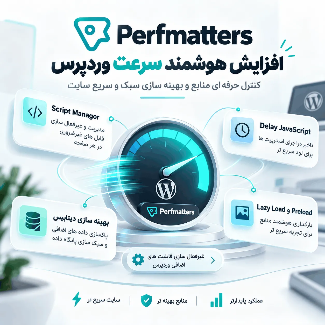 افزونه Perfmatters برای افزایش سرعت و بهینهسازی وردپرس