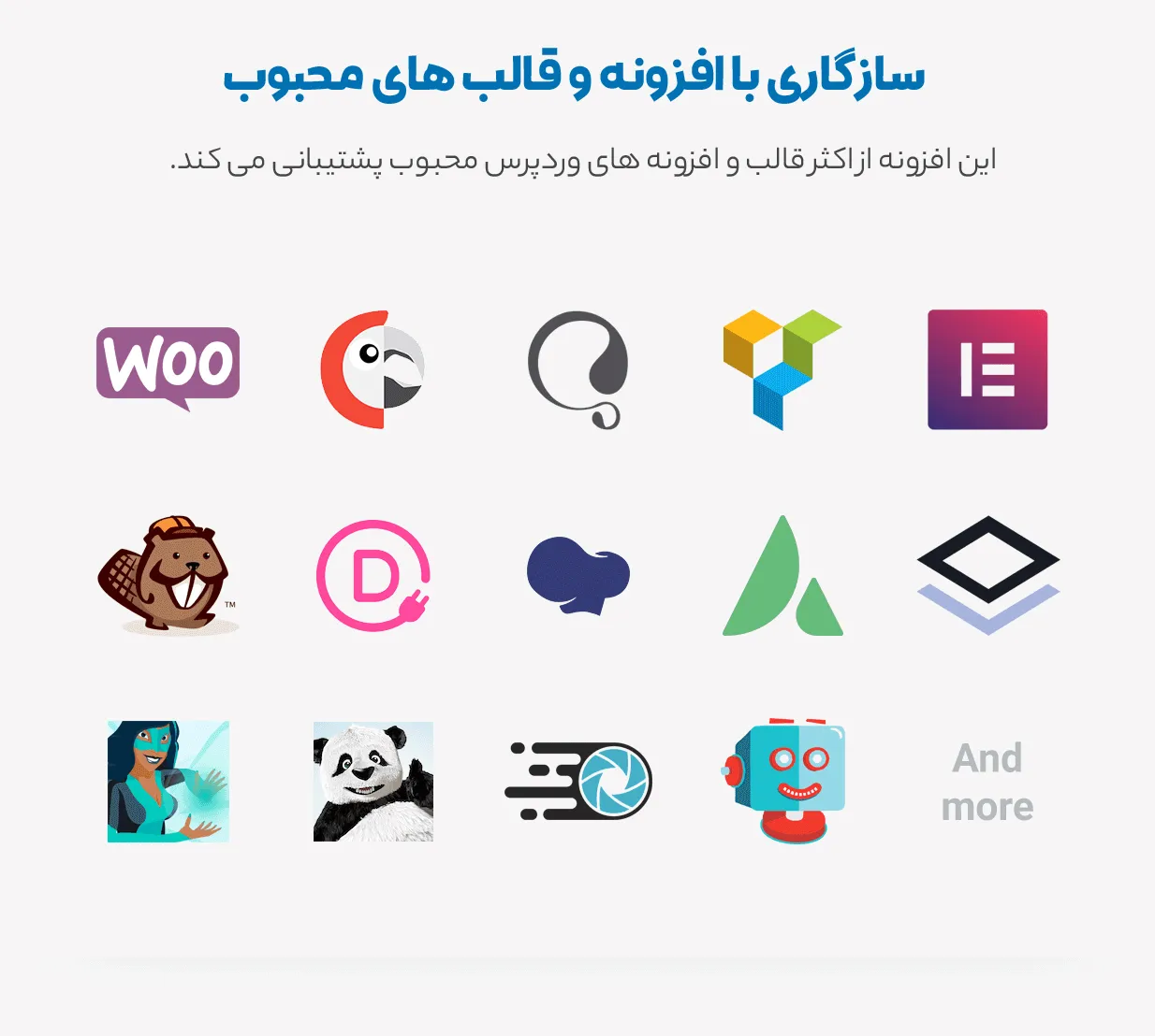 افزونه Filebird Pro 