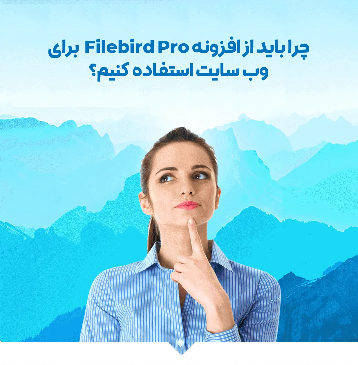 افزونه Filebird Pro| مدیریت رسانه های وردپرس