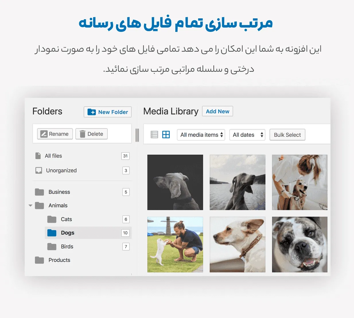 افزونه Filebird Pro 