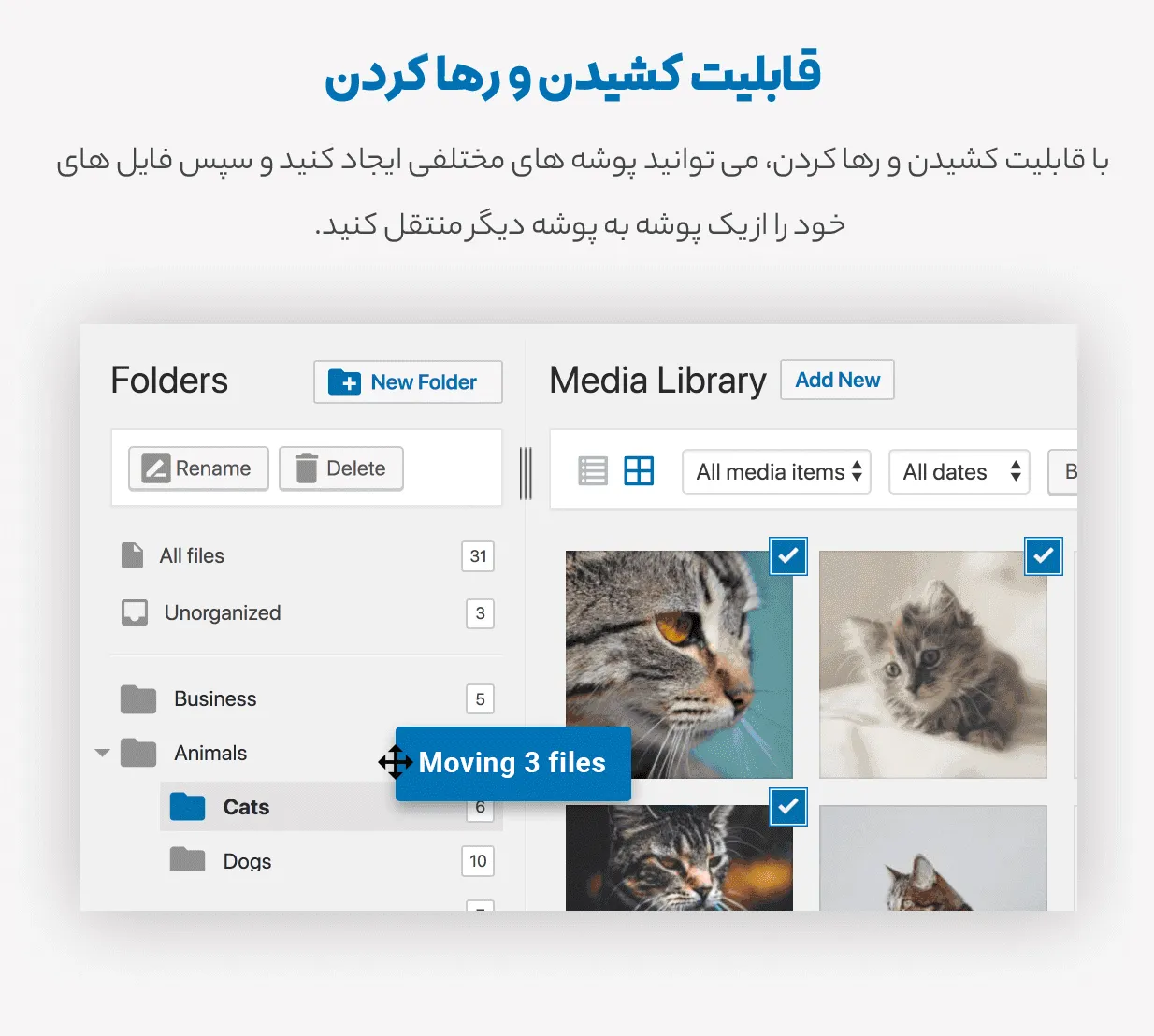 افزونه Filebird Pro | مدیریت رسانه های وردپرس