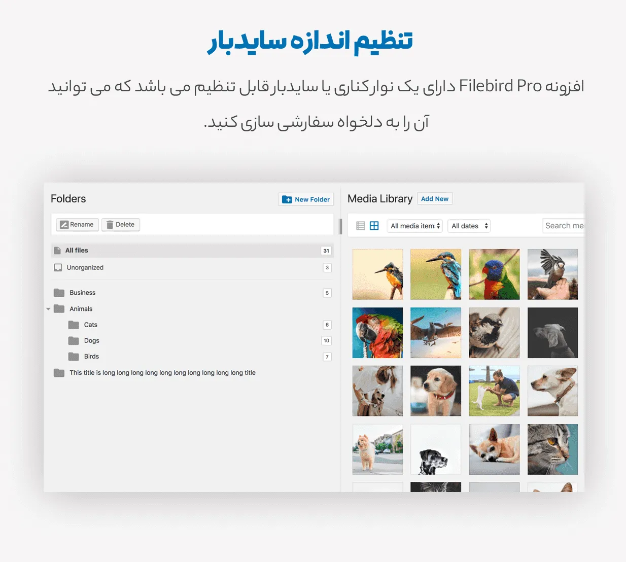 افزونه Filebird Pro | مدیریت رسانه های وردپرس