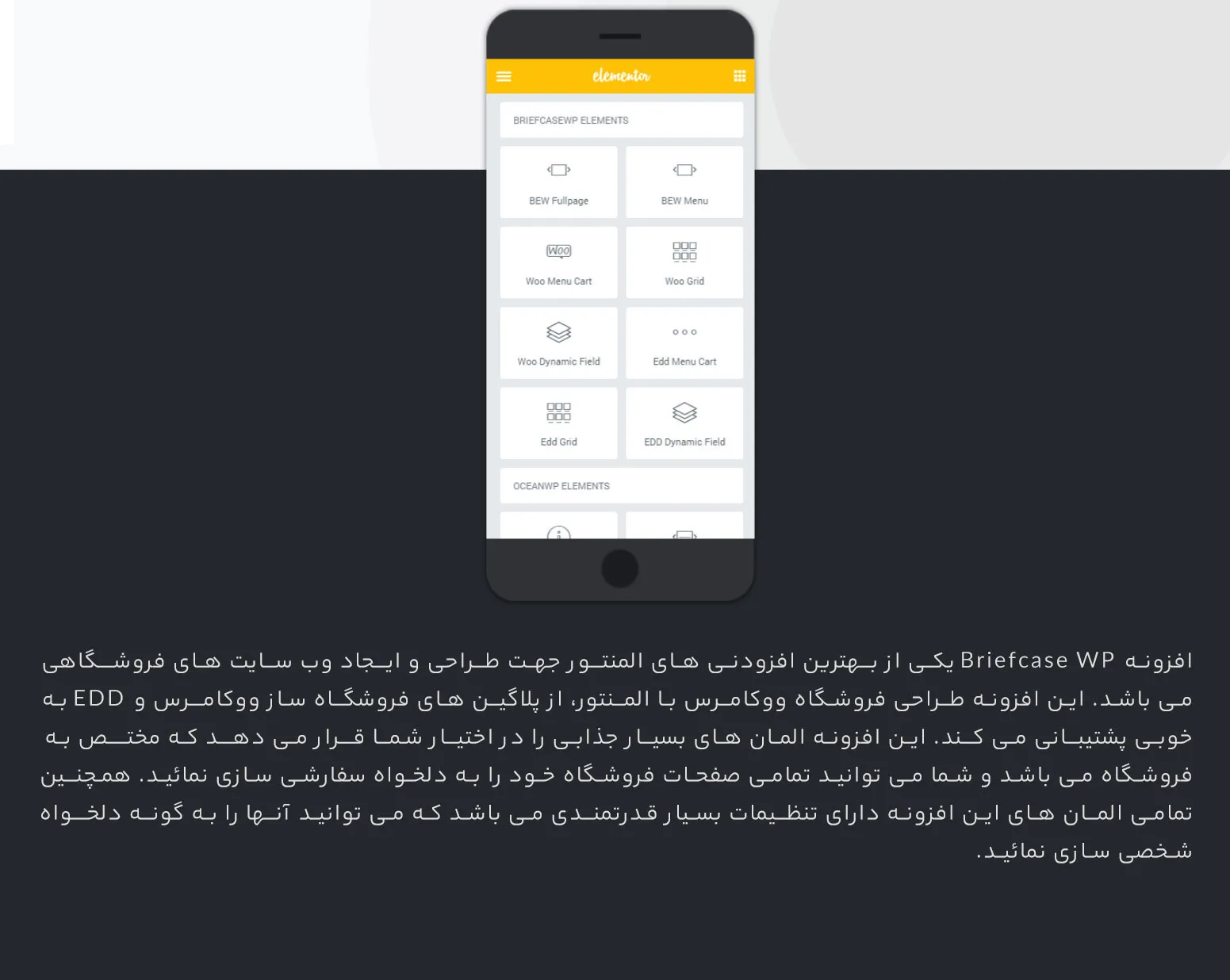 افزونه Briefcase WP