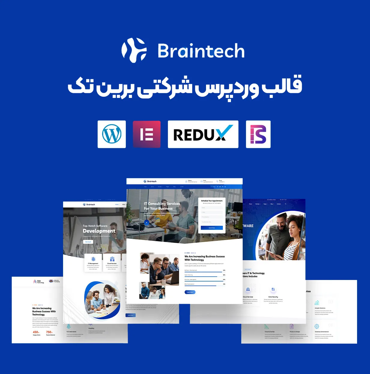قالب Braintech 