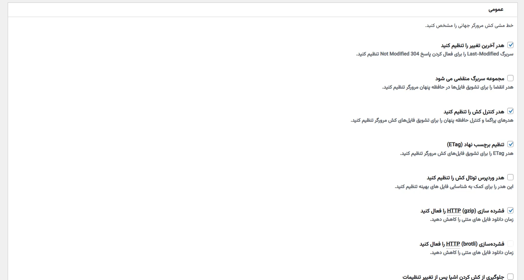 دانلود افزونه W3 توتال کش پرو