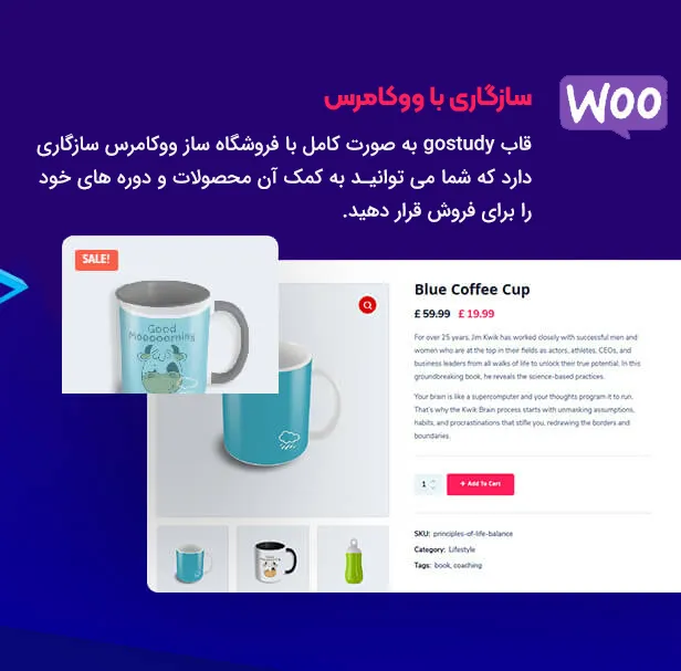 قاب gostudy 