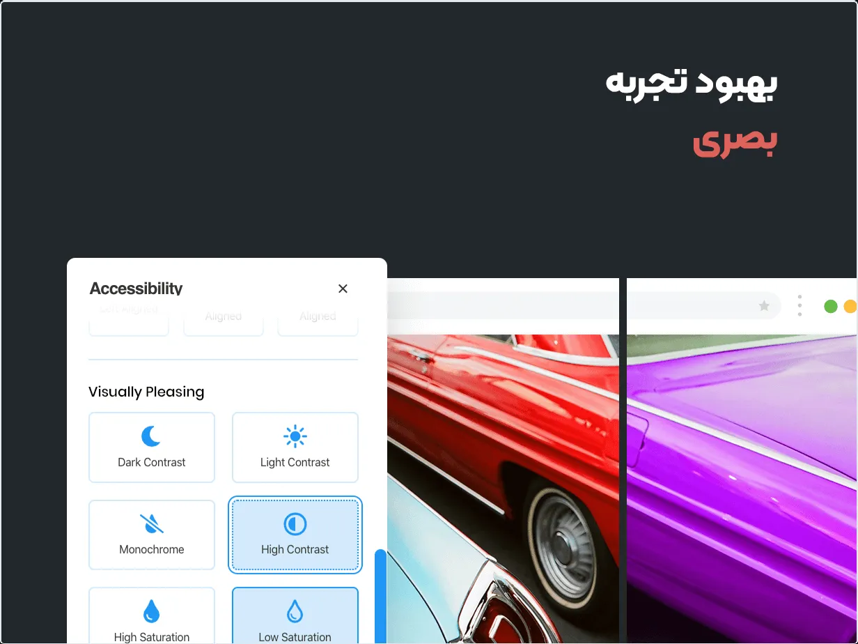 افزونه بهبود دسترسی وردپرس