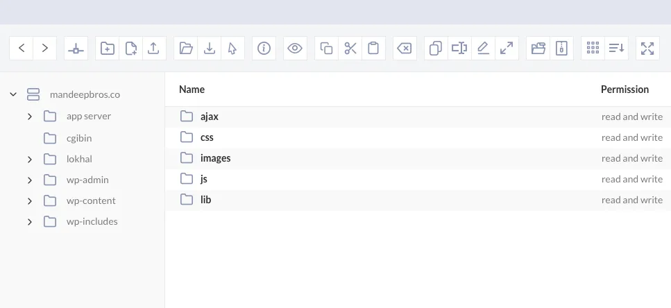 امکانات افزونه WP File Manager Pro